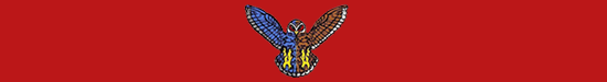 Red Scarf (Owl) Red Scarf (Owl)
